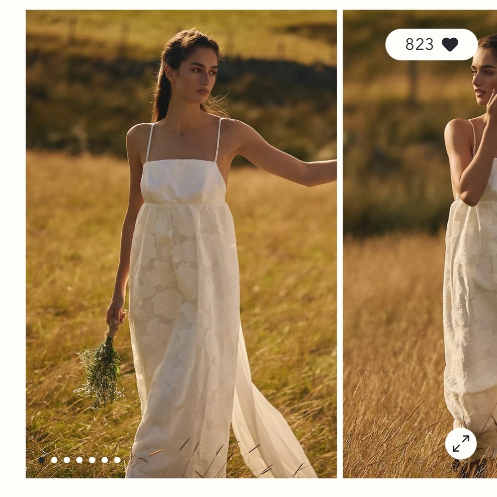 BHLDN Floral Burnout Jacquard Apron Maxi Dress - Picture 7 of 8